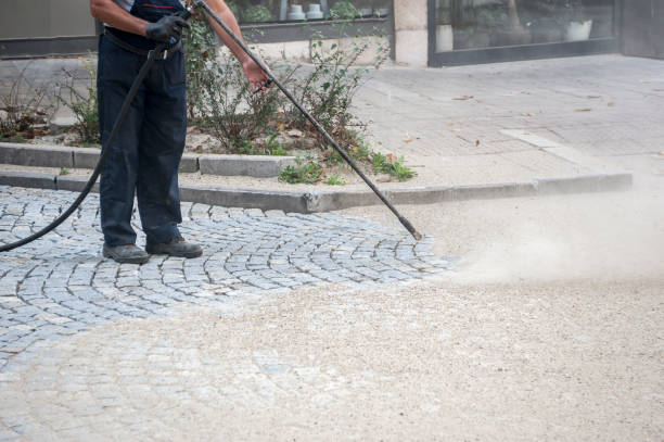 Trusted Cresaptown, MD Pressure Washing Services Experts